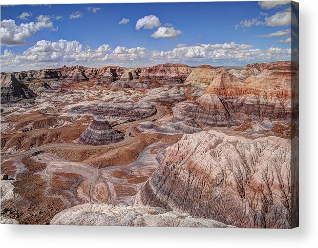 Arizona Acrylic Print featuring the photograph Petrified Forest Blue Mesa by Karen Smale