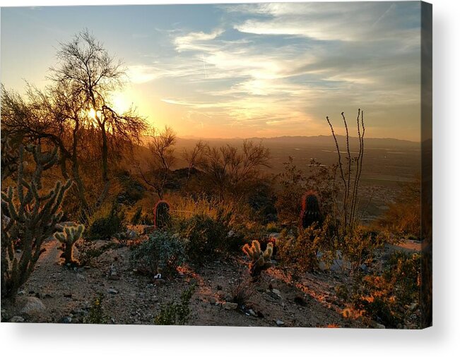  Acrylic Print featuring the photograph Phoenix Sunset by Brad Nellis