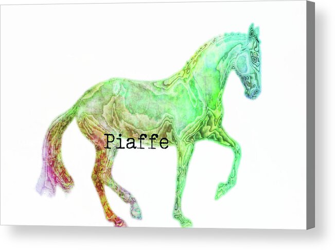 Animated Acrylic Print featuring the photograph PIAFFE WATERCOLOR quote by Dressage Design