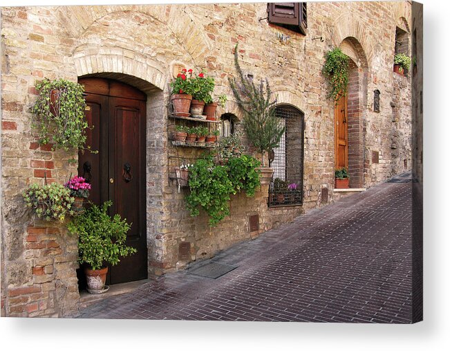 Street View Acrylic Print featuring the photograph Pictursque Wall Garden San Gimignano Tuscany Italy by Lily Malor