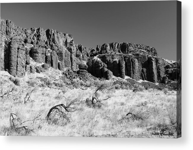 Oregon Acrylic Print featuring the photograph Pillars in Time by Steve Warnstaff