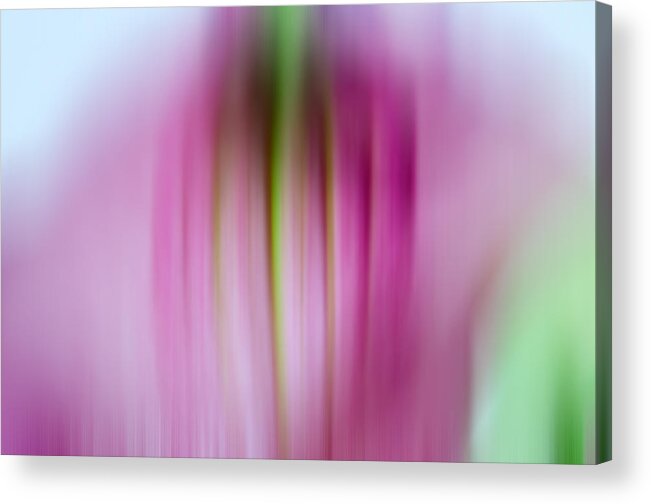 Pink Acrylic Print featuring the photograph Pink Blur by Crystal Wightman