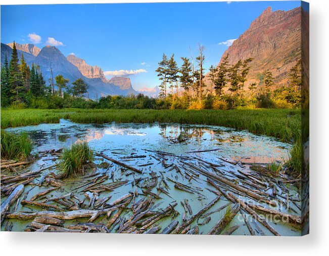 St Mary Lake Acrylic Print featuring the photograph Pink Peaks Over Driftwood by Adam Jewell