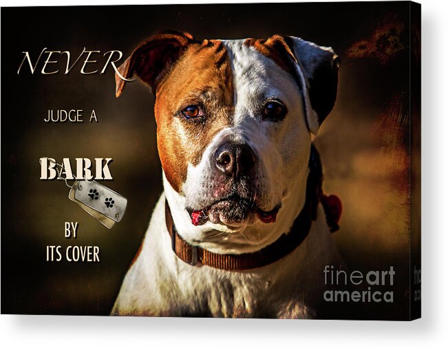 Pitbull Acrylic Print featuring the photograph Pitbull Rescue Poster by Eleanor Abramson