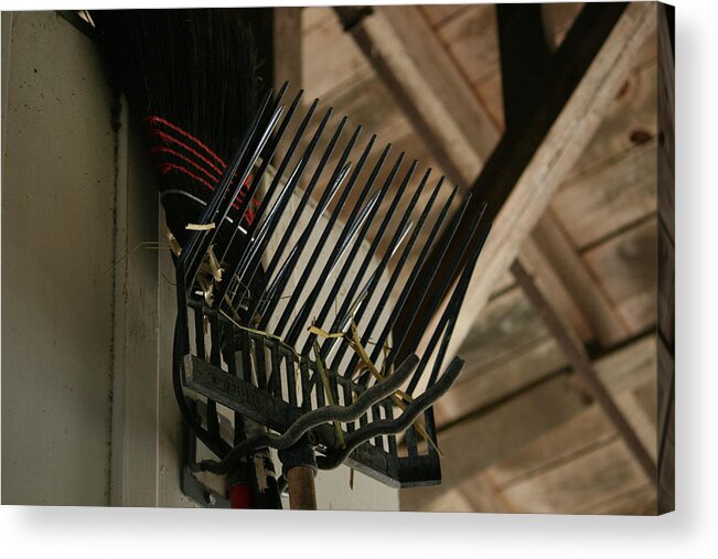 Pitch Acrylic Print featuring the photograph Pitch Fork by Cathy Harper