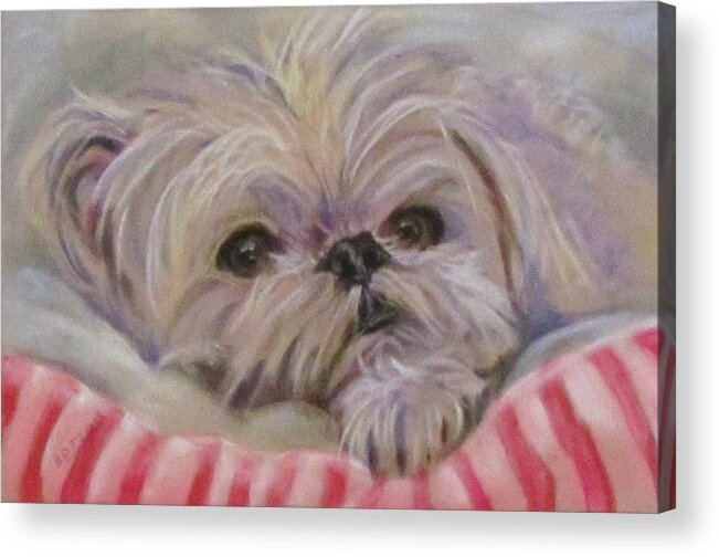 Dog Acrylic Print featuring the painting Please let me Sleep by Barbara O'Toole