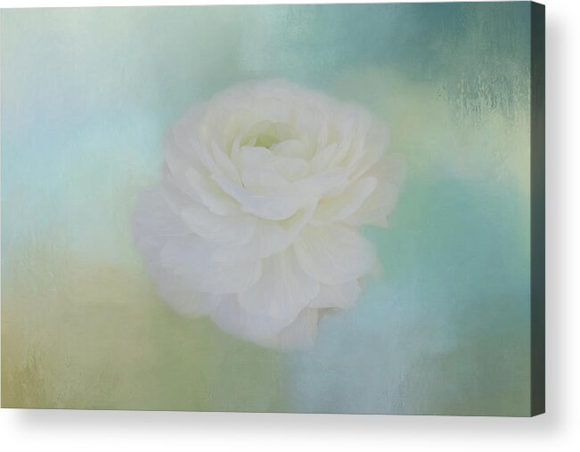 Rose Acrylic Print featuring the photograph Poetry Dreams by Kim Hojnacki