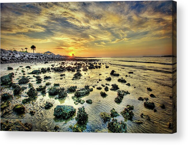Fine Art Acrylic Print featuring the photograph Ponce Inlet Jetty by Brent Craft