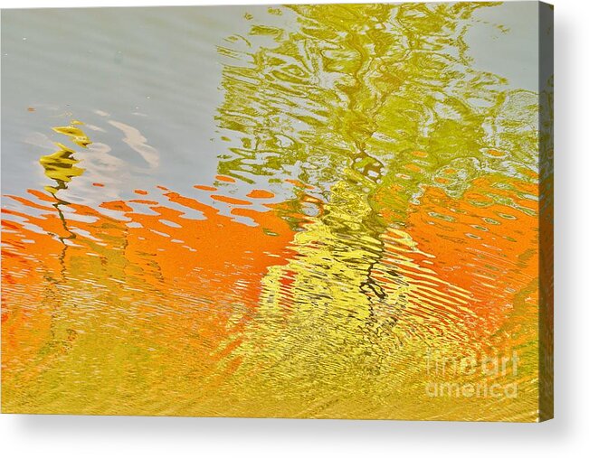 Reflections Acrylic Print featuring the photograph Pond Reflection by Merle Grenz