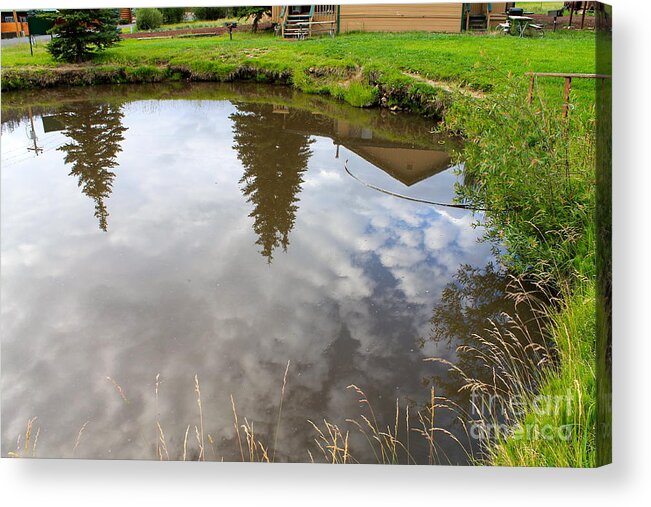 Pond Acrylic Print featuring the photograph Pond Reflections by Pamela Walrath