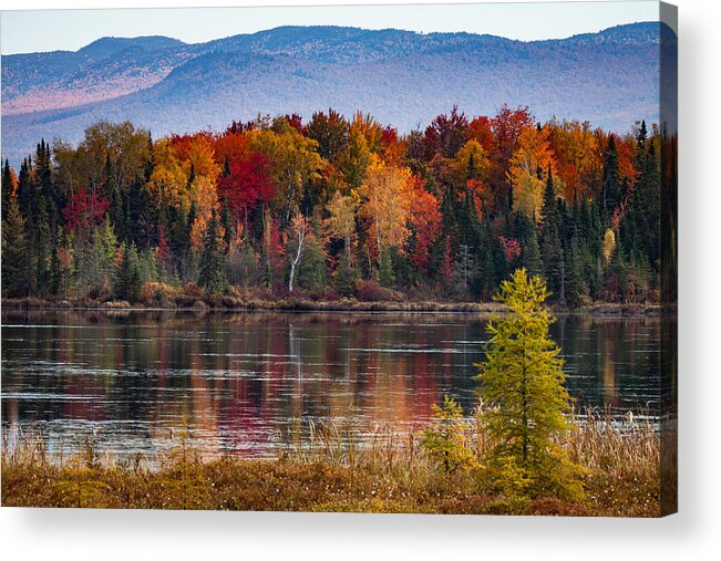 Pondicherry Wildlife Conservation Acrylic Print featuring the photograph Pondicherry fall foliage reflection by Jeff Folger