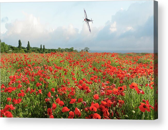 Spitfire Acrylic Print featuring the photograph Poppies and SIlver Spitfire by Gary Eason