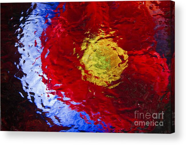 Red Acrylic Print featuring the photograph Poppy Impressions by Jeanette French