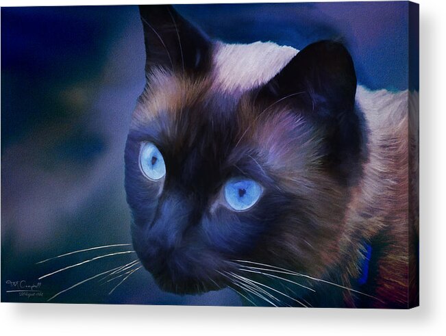 Theresa Campbell Acrylic Print featuring the photograph Portrait Of Sulley by Theresa Campbell