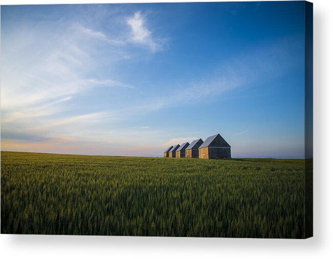 Farming Acrylic Print featuring the photograph Prairie evening by Bill Cubitt