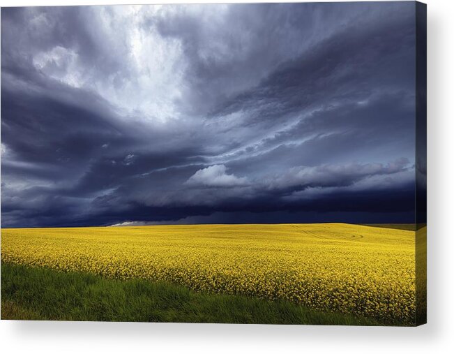 Prairie Acrylic Print featuring the photograph Prairie Storm by David Buhler