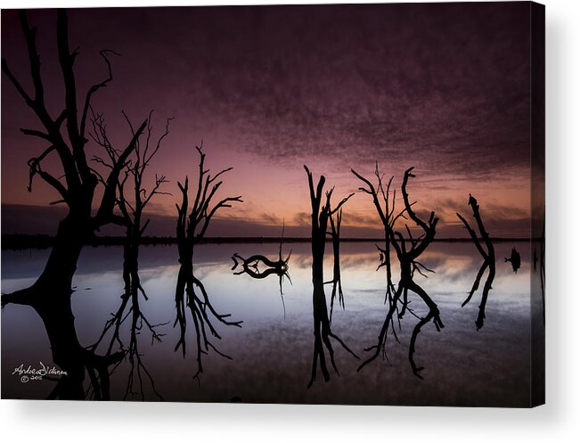 Sunrise Acrylic Print featuring the photograph Pre-Dawn by Andrew Dickman