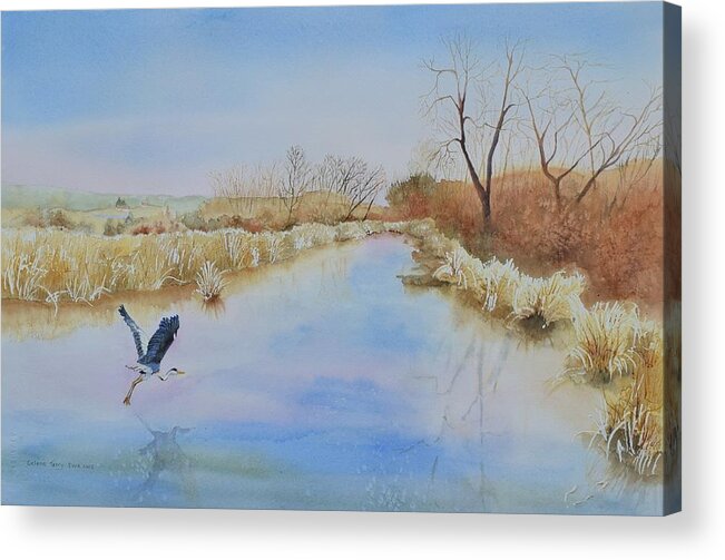 Blue Heron Acrylic Print featuring the painting Prelude by Celene Terry