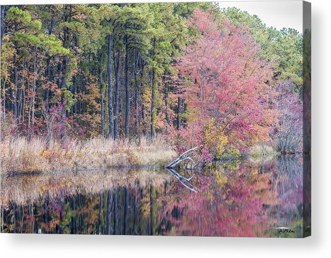 Fall Foliage Acrylic Print featuring the photograph Pretty in Pink by Charles Aitken