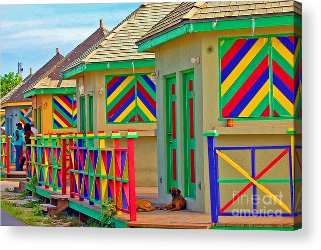 Vivid Acrylic Print featuring the photograph Primary Colors by Debbi Granruth