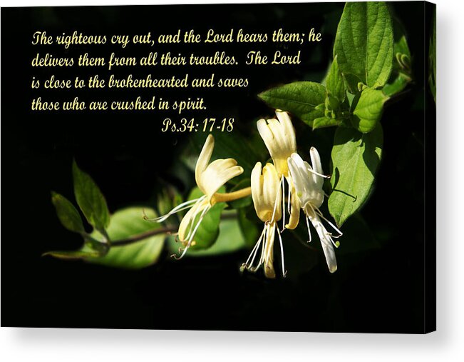 Scripthure Acrylic Print featuring the photograph Psalms Scripture with Honey Suckle Flowers by Linda Phelps