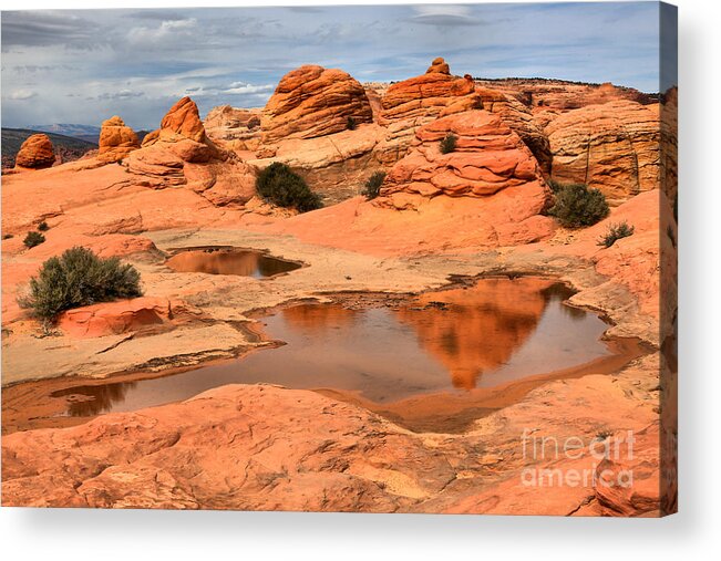 Coyote Buttes Acrylic Print featuring the photograph Puddles In The Desert Landscape by Adam Jewell
