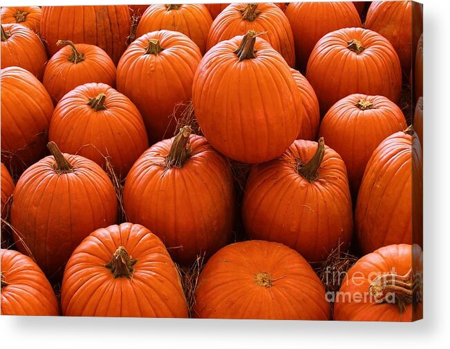 Photo For Sale Acrylic Print featuring the photograph Pumpkin Parch 3 by Robert Wilder Jr