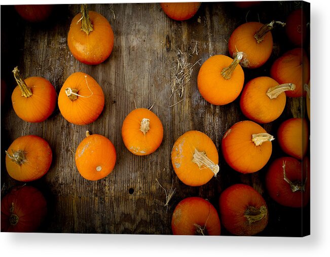 Pumpkin Acrylic Print featuring the photograph Pumpkin Tops by Marisela Mungia