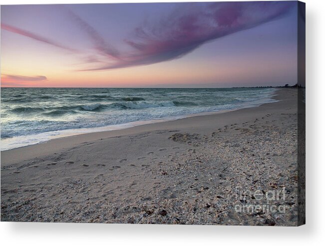 Florida Acrylic Print featuring the photograph Purple Beach by Karin Pinkham