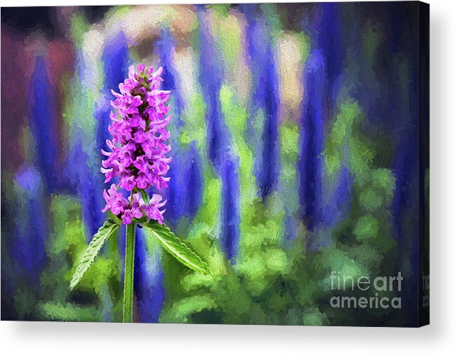 Bloom Acrylic Print featuring the photograph Purple Bounty by Sharon McConnell