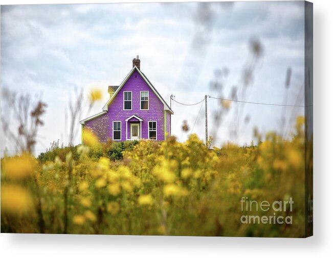Island Acrylic Print featuring the photograph Purple house and yellow flowers by Jane Rix