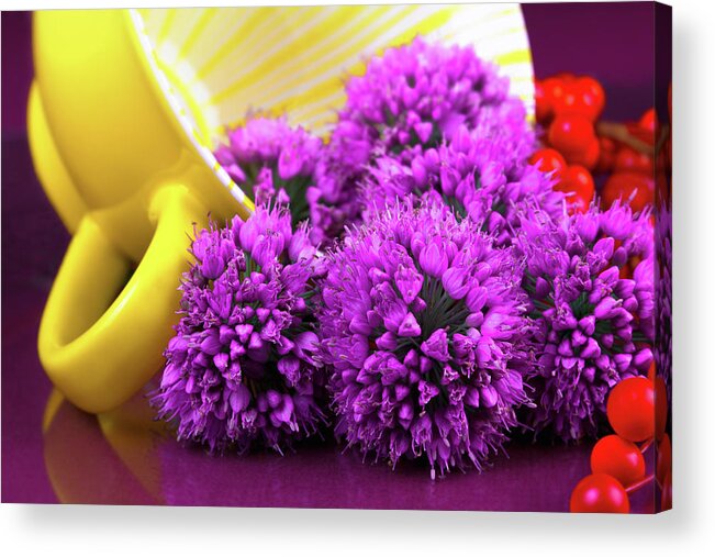 Allium Medusa Acrylic Print featuring the photograph Purple Onion Flower Macro by Tom Mc Nemar