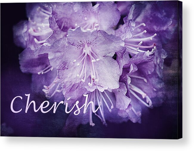 Rhododendron Print Acrylic Print featuring the photograph Purple Rhododendron Inspirational Print by Gwen Gibson