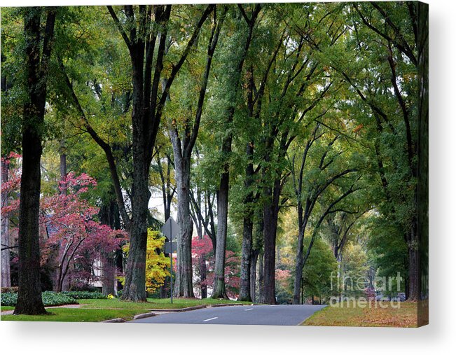 Queens Road West Acrylic Print featuring the photograph Queens Road West in the Fall by Jill Lang