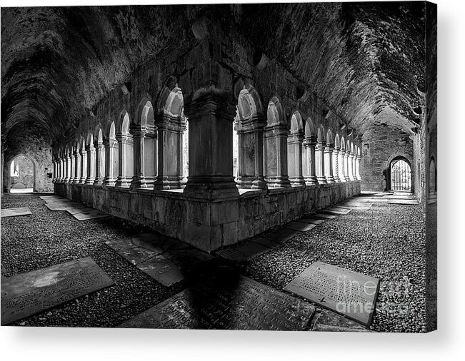 Ireland Acrylic Print featuring the photograph Quin Abbey by Dennis Hedberg