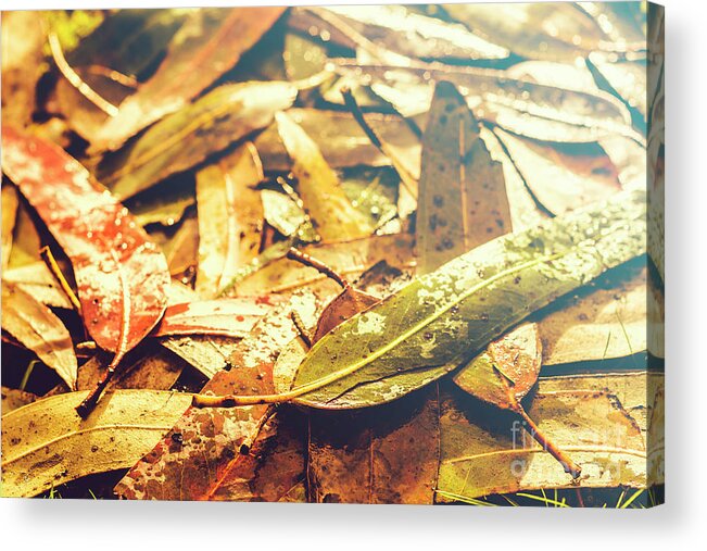 Fall Acrylic Print featuring the photograph Rain in fall by Jorgo Photography