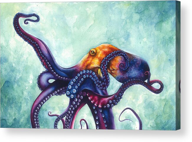 Rainbow Octopus Acrylic Print By Ashley Brown