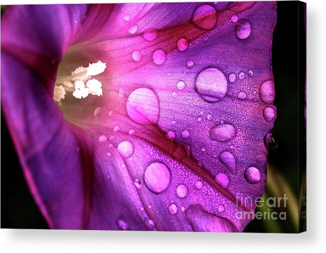  Acrylic Print featuring the digital art Raindrop by Darcy Dietrich