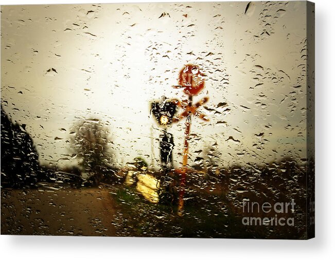 Art Acrylic Print featuring the photograph Rainy Day by Dimitar Hristov