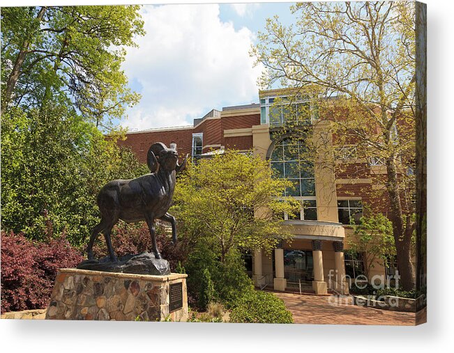 University Of North Carolina At Chapel Hill Acrylic Print featuring the photograph Ramses The Bighorn Ram Sculpture by Jill Lang
