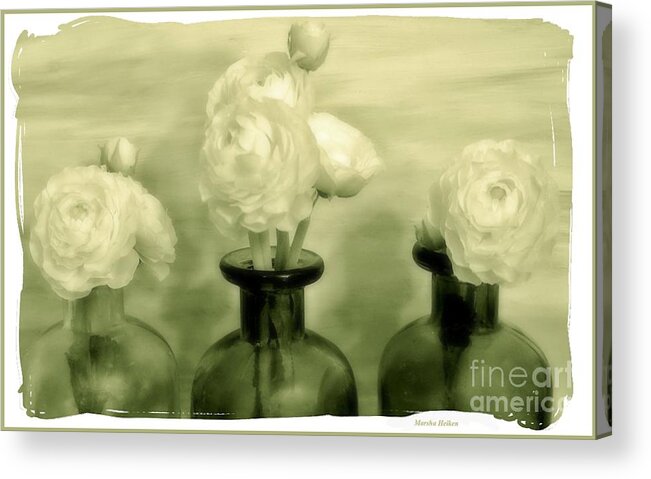 Photo Acrylic Print featuring the photograph Ranunculus Still Life Bottles by Marsha Heiken