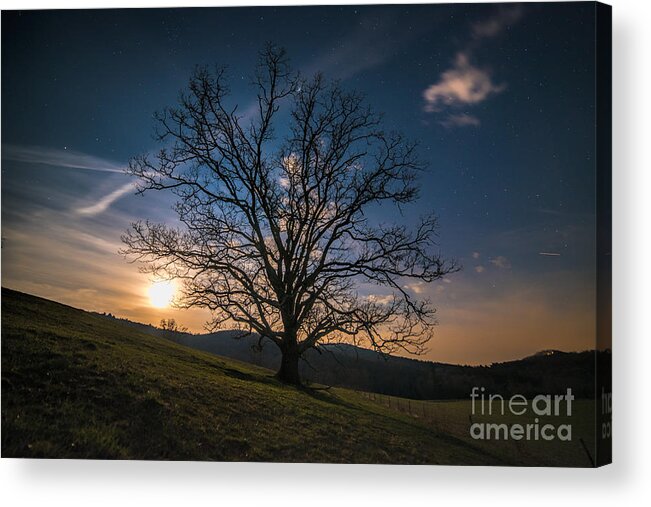 Majestical Acrylic Print featuring the photograph Reaching for the moon by Robert Loe