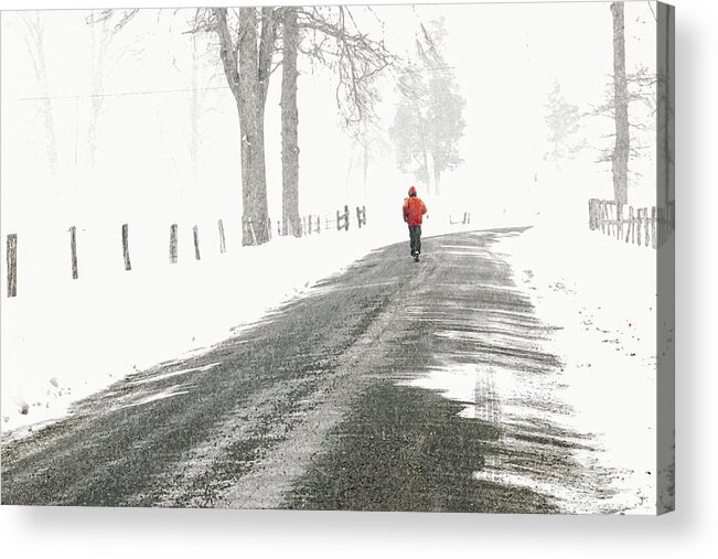 March Snowfall Acrylic Print featuring the photograph Red 2 - by Julie Weber