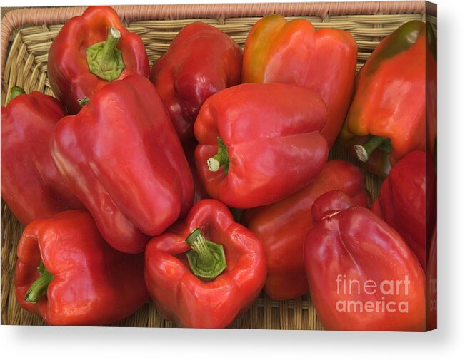 Pepper Acrylic Print featuring the photograph Red Bell Peppers by Inga Spence