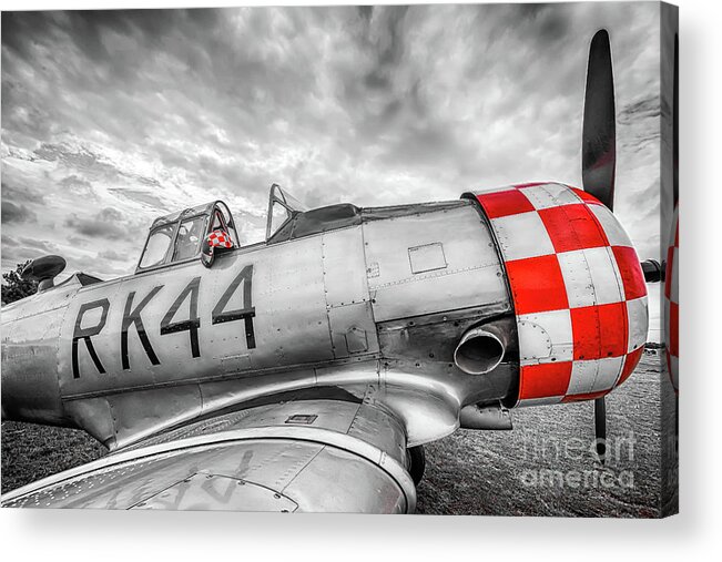 North American Acrylic Print featuring the photograph Red Checkers by Paul Quinn