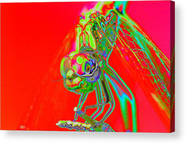 Pop Art Acrylic Print featuring the photograph Red Dragon by Richard Patmore
