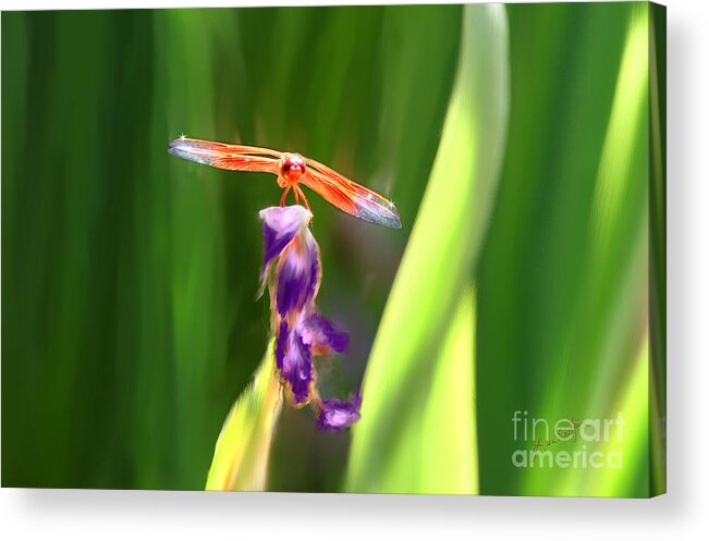 Dragonfly Acrylic Print featuring the painting Red Dragonfly on Purple Flower by Lisa Redfern