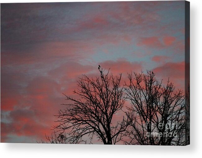 Cloud Acrylic Print featuring the photograph Red Morning Clouds 1 by Yumi Johnson