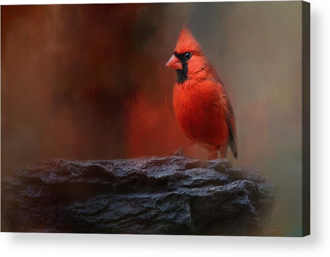 Jai Johnson Acrylic Print featuring the photograph Red On The Rocks - Cardinal Bird Art by Jai Johnson