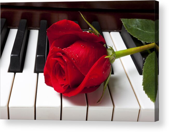 Red Rose Roses Acrylic Print featuring the photograph Red rose on piano keys by Garry Gay